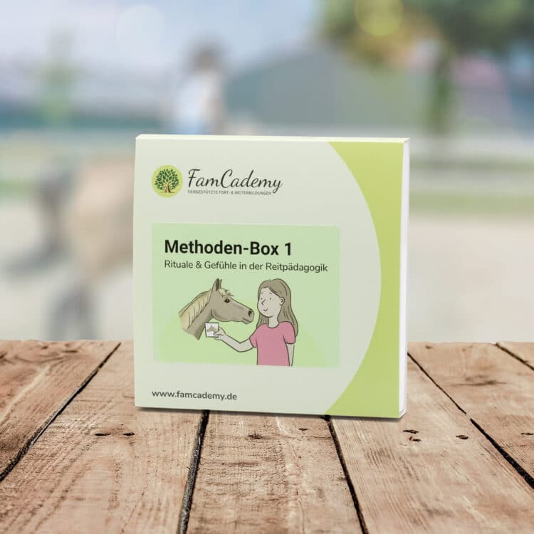 Methoden Box 1 – Rituale & Gefühle